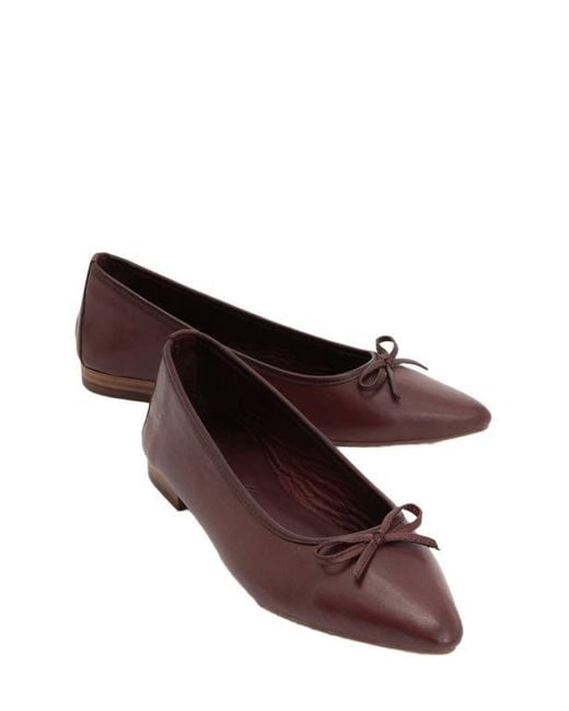Forever & Always Shoes Multicolor Ruby Leather Pointed Toe Flats