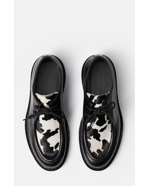Scarosso Black Damiano Derbies for men