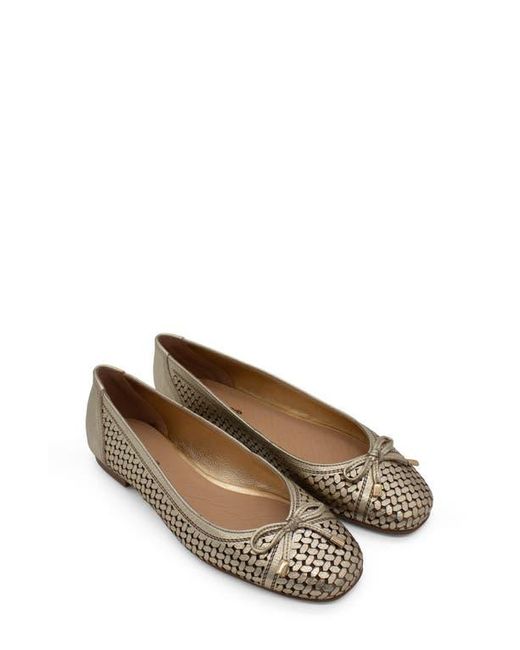 BOTTER Brown Botsamya Ballet Flat