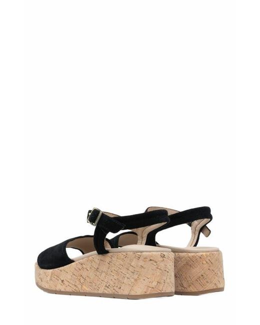 ABEO Black Solstice Buckle Sandal