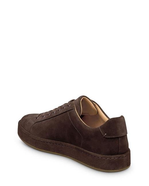 Allen Edmonds Brown Barnes Low Top Sneaker for men