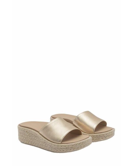 ABEO Multicolor Solstice Slide