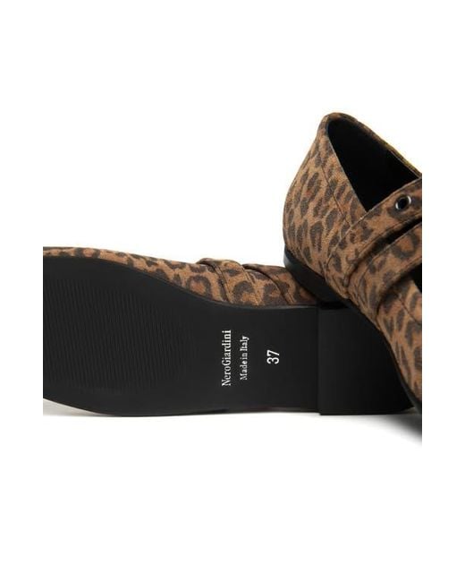 Nero Giardini Brown Double Strap Ballet Flat