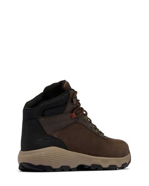Columbia Brown Newton Wander Waterproof Hiking Boot for men