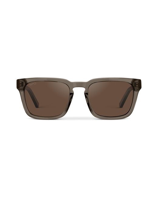 WMP Eyewear Brown Maverick for men