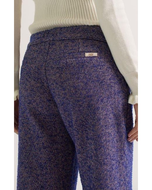 Cache Coeur Purple Kate Maternity Pants