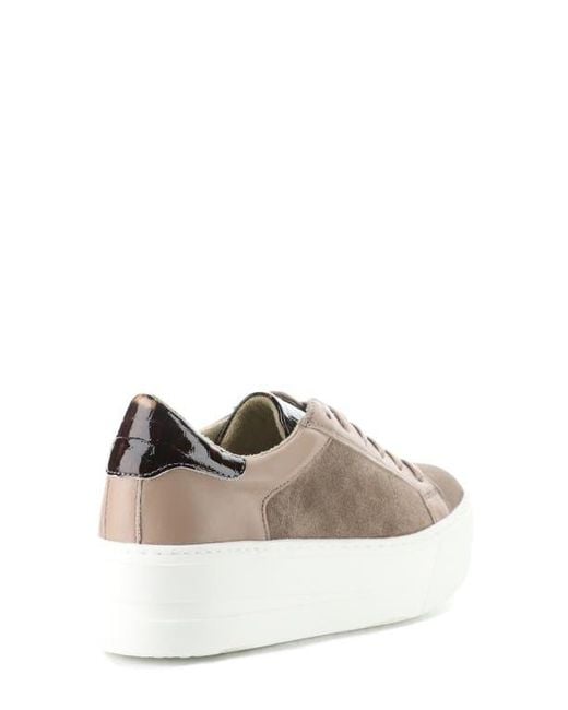 Bos. & Co. Multicolor Maude Platform Sneaker