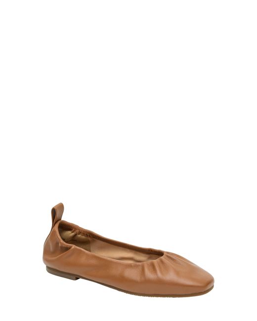Linea Paolo Newry Ballet Flat in Brown | Lyst