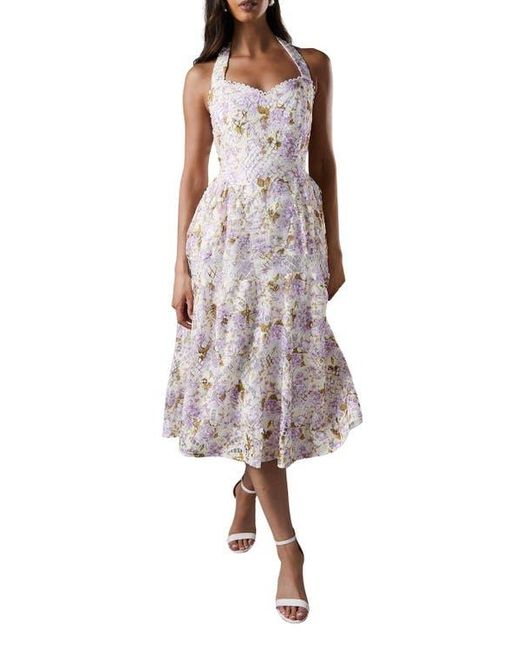 Coast White Printed Lace Halter Neck Midi Dress