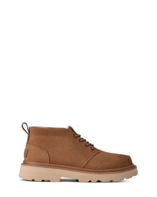 Ugg Brown Chukka Lug Boot for men