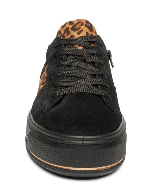 Ara Black Conifer Sneaker