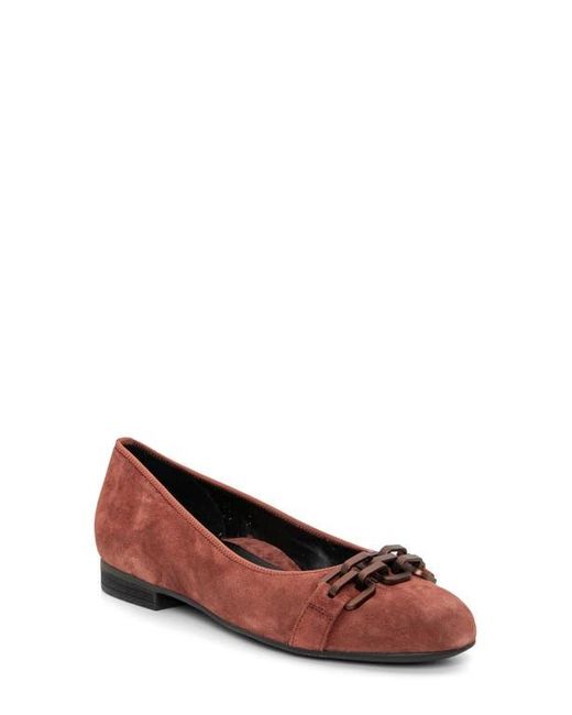 Ara Brown Scout Chain Ballet Flat