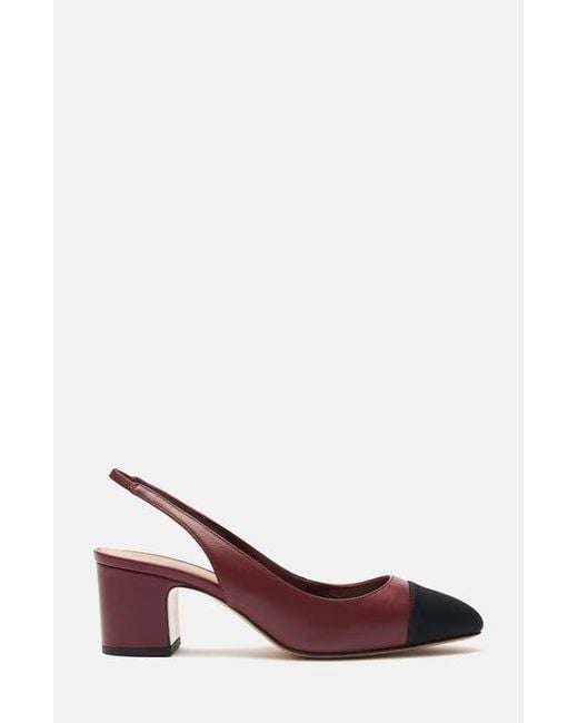 Scarosso Multicolor Miranda Pumps