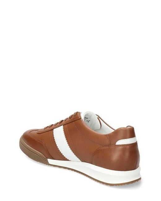 Mephisto Brown Elyo Sneaker for men