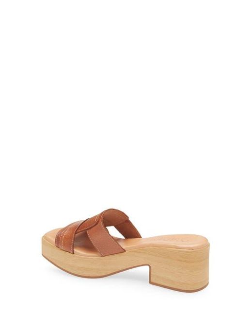 Cordani Multicolor Marley Platform Slide Sandal