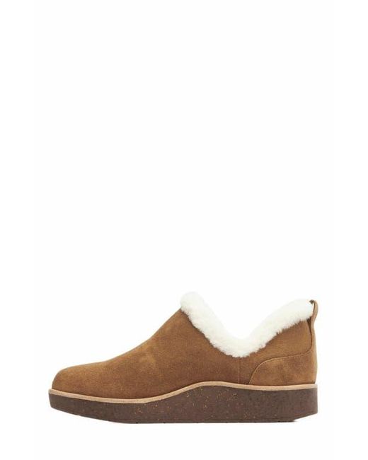 ABEO Brown Pioneer Bootie