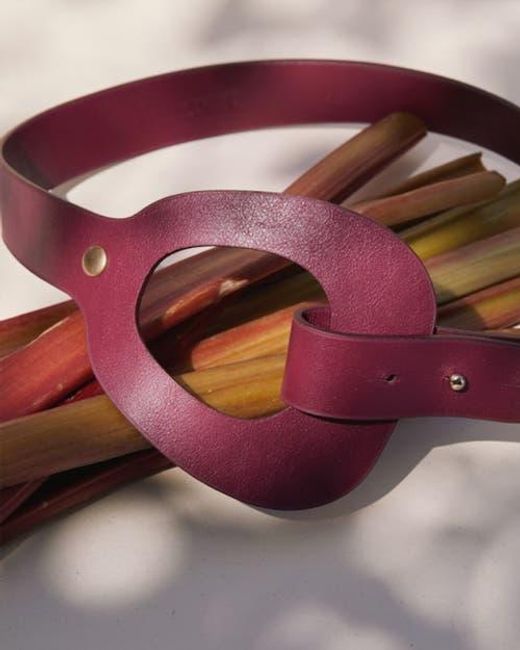 Vaincourt Paris Women's Purple La Savoureuse Belt