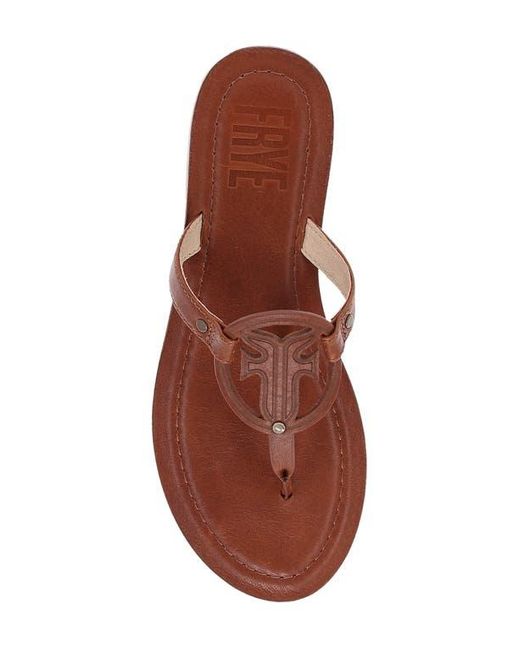 Frye Brown Taylor Logo Sandal