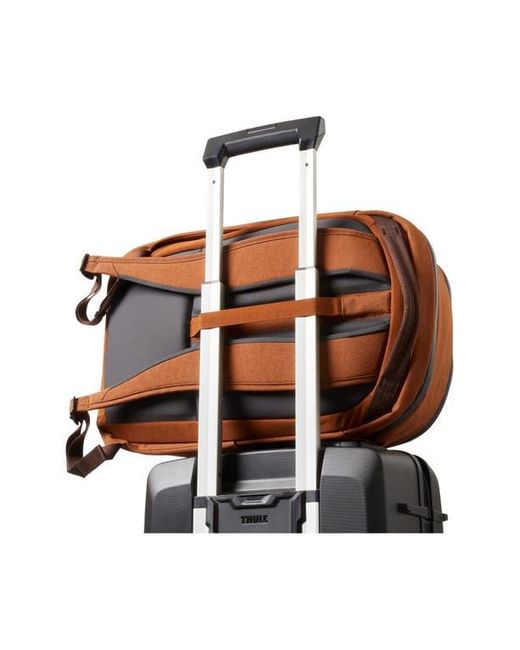 Bellroy Brown Transit Work 20L Backpack