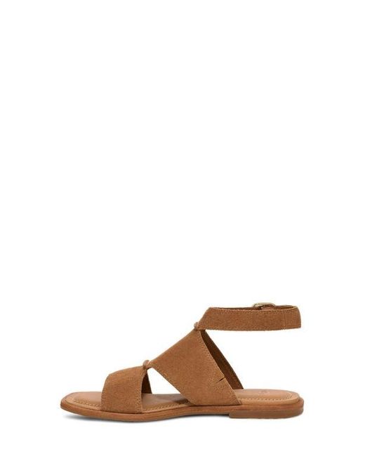 Ugg Brown Delray Ankle Strap Sandal
