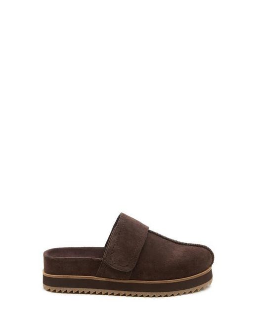 Kelsi Dagger Brooklyn Brown Fig Platform Mule