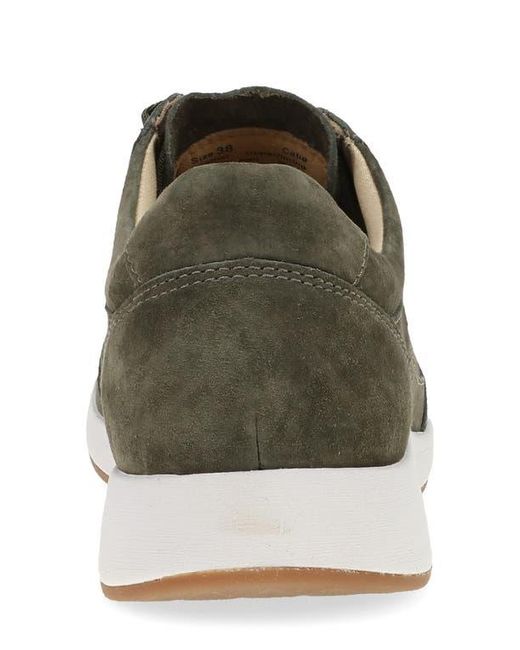 Dansko Gray Catie Sneaker