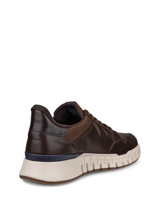 Ecco Brown Gruuv Studio Sneaker for men