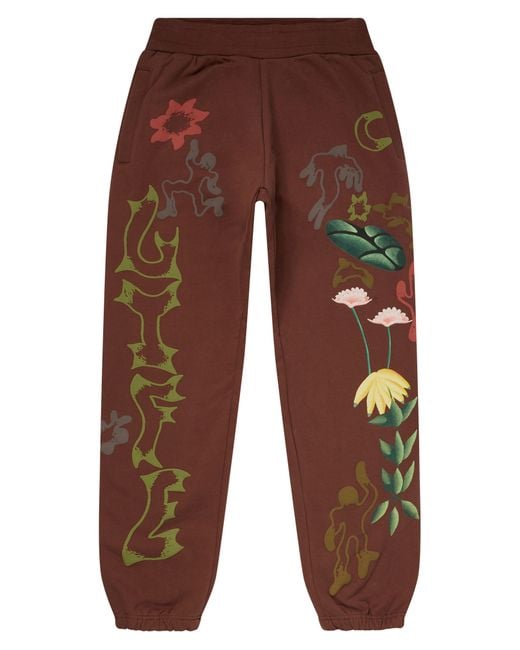 Market Brown Life Cycle Graphic Sweatpants for men