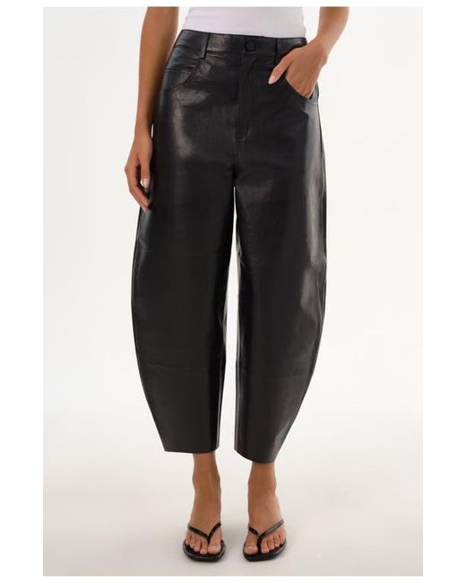 Lamarque Black Fenne