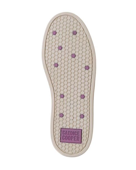 Candice Cooper Black Tim Perforated Leather Lace-Up Sneaker