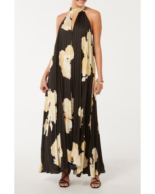 EVER NEW Multicolor Saylor Floral Pleated Maxi Dress