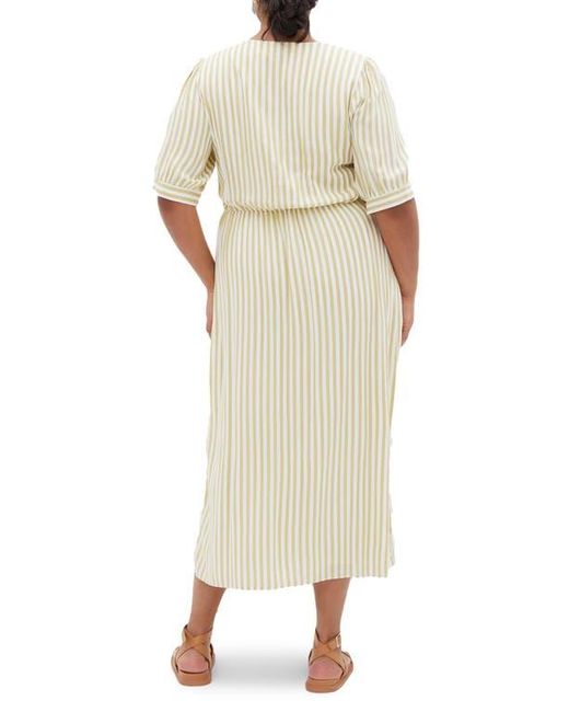 City Chic Natural Charli Stripe Button-Up Midi Dress