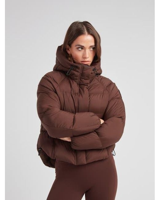 Jacket Brown Cloud Cropped Hooded Puffer Jacket