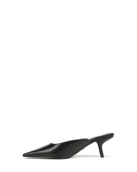 Sam Edelman Black Brandy Pointed Toe Mule