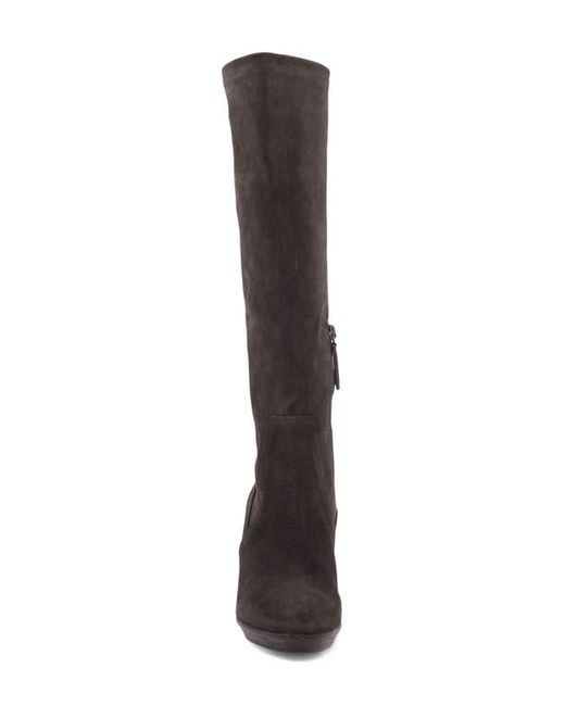 Aquatalia Black Rhumba Knee High Boot