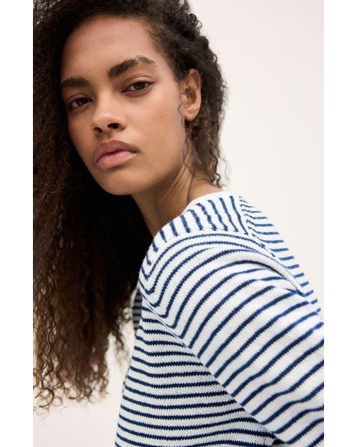Mango Purple Stripe Sweater