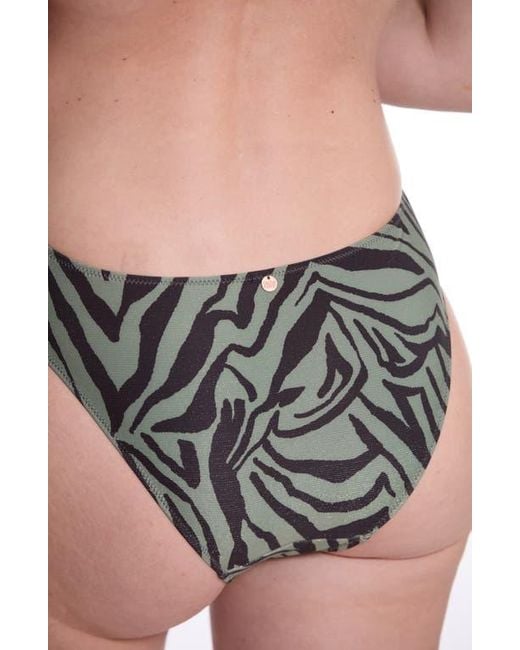 Cache Coeur Gray Safari Maternity Trikini