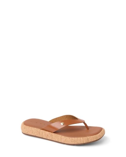 Reef Brown Sunset Low Maya Flip Flop