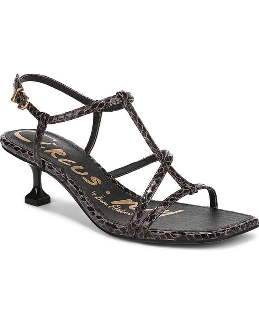Circus by Sam Edelman Black Jaida Snakeskin Embossed Strappy Sandal