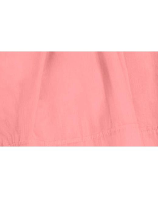 City Chic Pink Cassie Tie Waist Peplum Dress