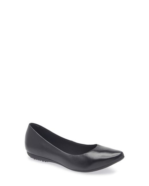 BOTTER Blue Botdogs Ballet Flat