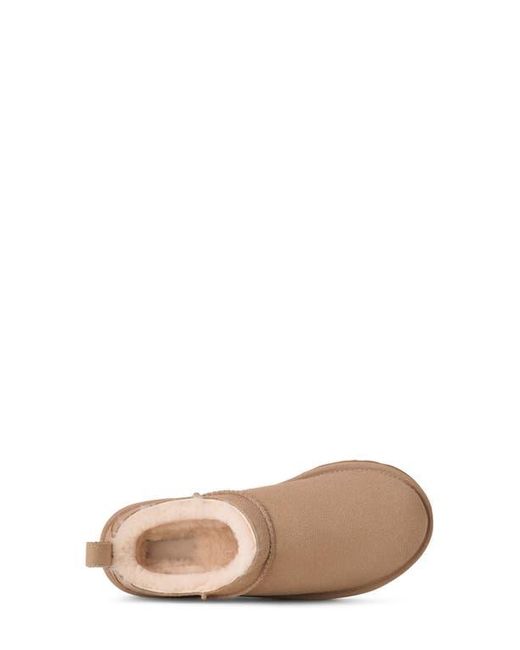 Ugg Brown Classic Micro Genuine Shearling Lined Slip-On