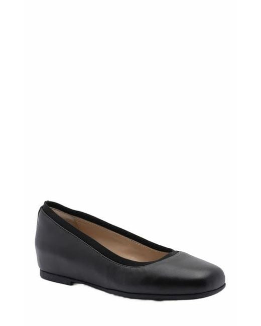 ABEO Black Cadence Ballet Flat