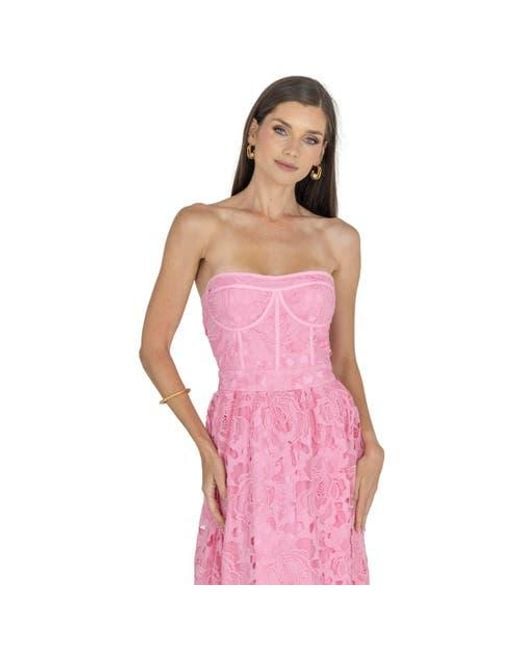 Akalia Amelia Lace Bustier Midi Dress Guipure Lace in Pink | Lyst Akalia Amelia Lace Bustier Midi Dress Guipure Lace in Pink | Lyst