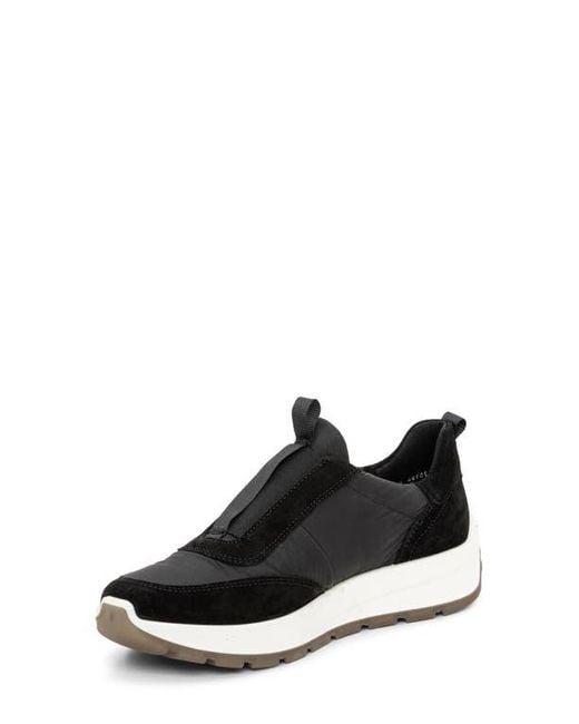 Ara Black Nerine Slip-On Sneaker