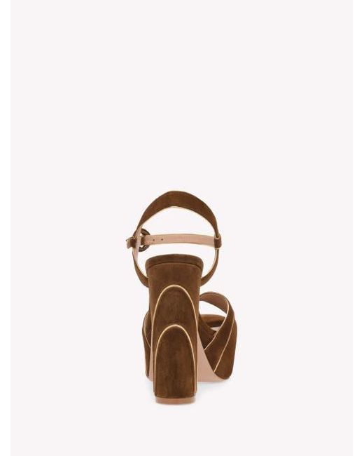 Gianvito Rossi Brown Tamara Sandals