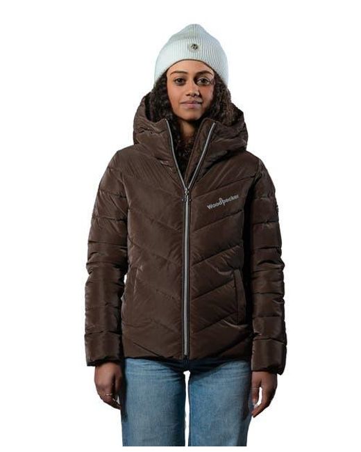 Woodpecker Brown Robin Medium Weight Coat