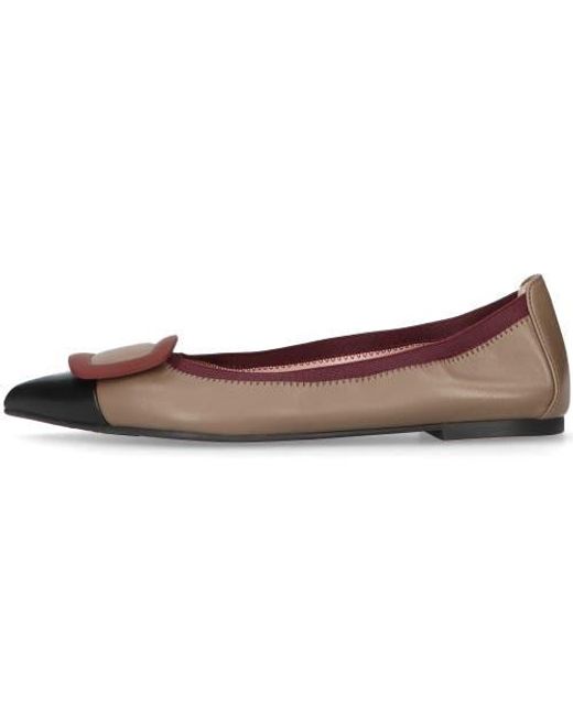 Pretty Ballerinas Brown Pointed Toe Elasticated Ballet Flat