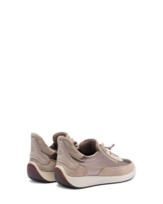 Ara Multicolor Lysa Low Top Sneaker