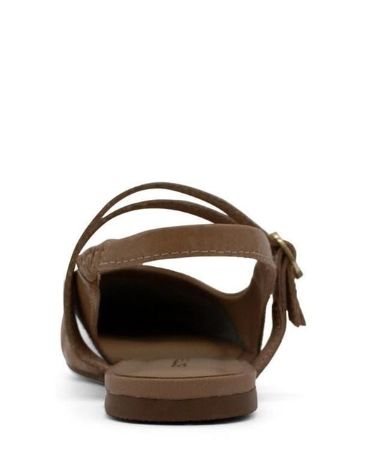 BOTTER Brown Botkairi Slingback Flat